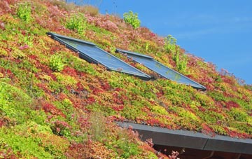 Bugley living roof systems