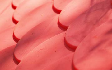 Bugley plastic roof costs