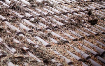 Bugley roof cleaning companies