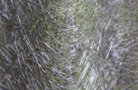 Bugley fibreglass roof work